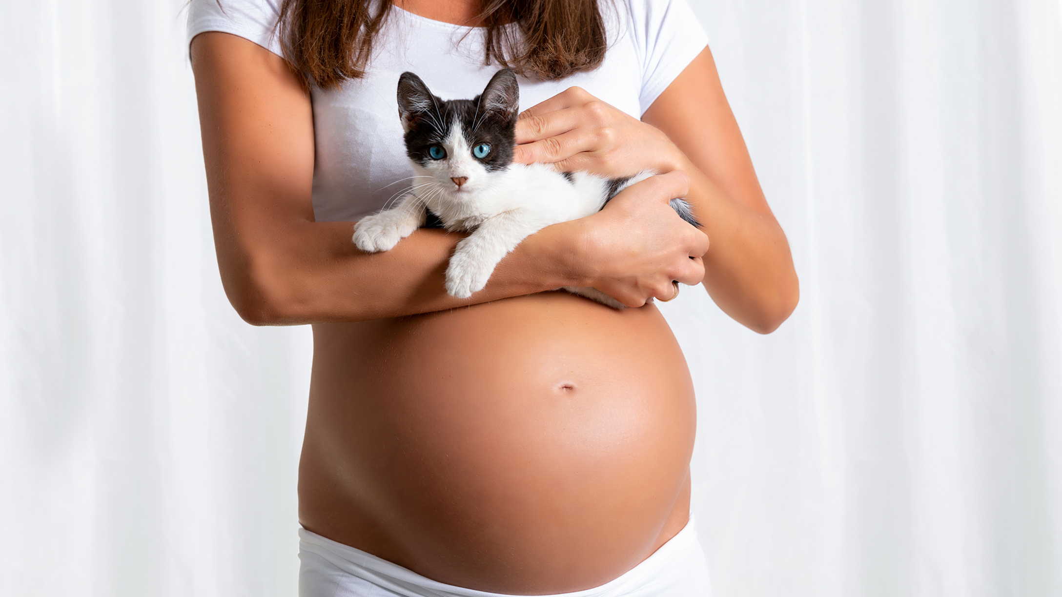 Cat Litter While Pregnant? | Mom 