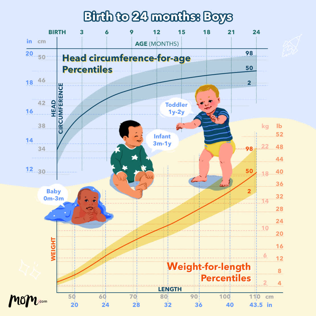 fetal growth chart percentile