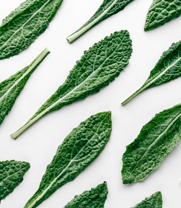 flat-baby-kale-greens-in-fun-pattern