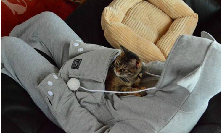 snuggie with cat pouch