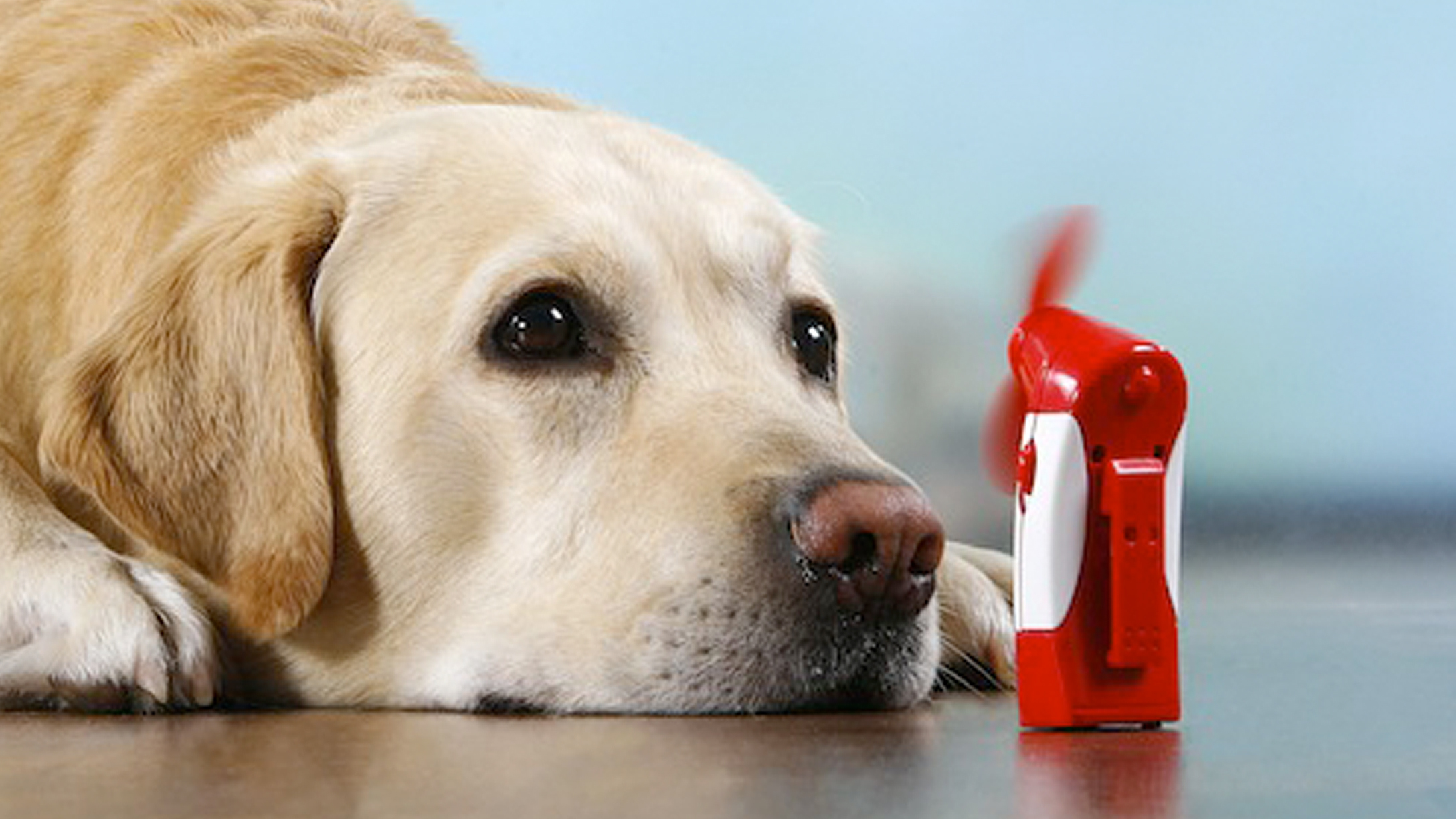 Pet cool air store conditioner