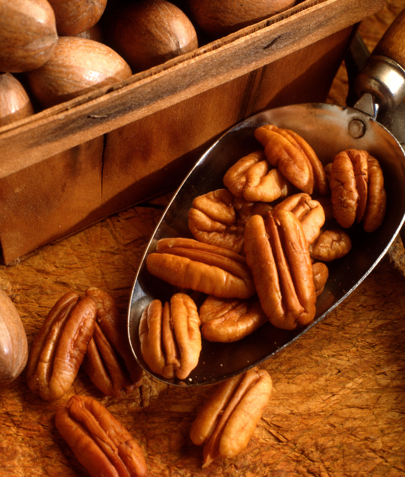 Are pecan nuts bad for dogs sale