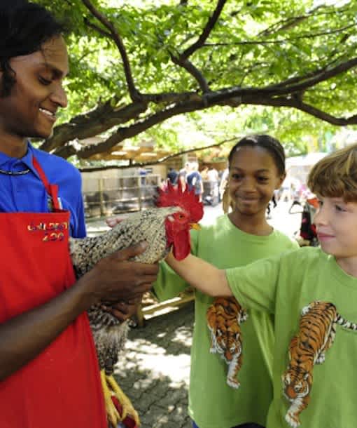 12 Amazing Summer Camps For Animal Lovers