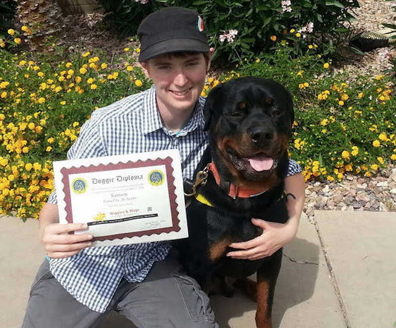 asperger service dog breeds