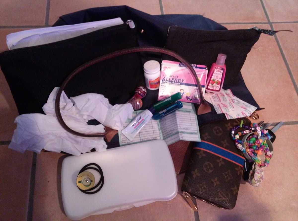 Mom Purse Essentials (15 Things You Should Always Carry) - Merrick's Art