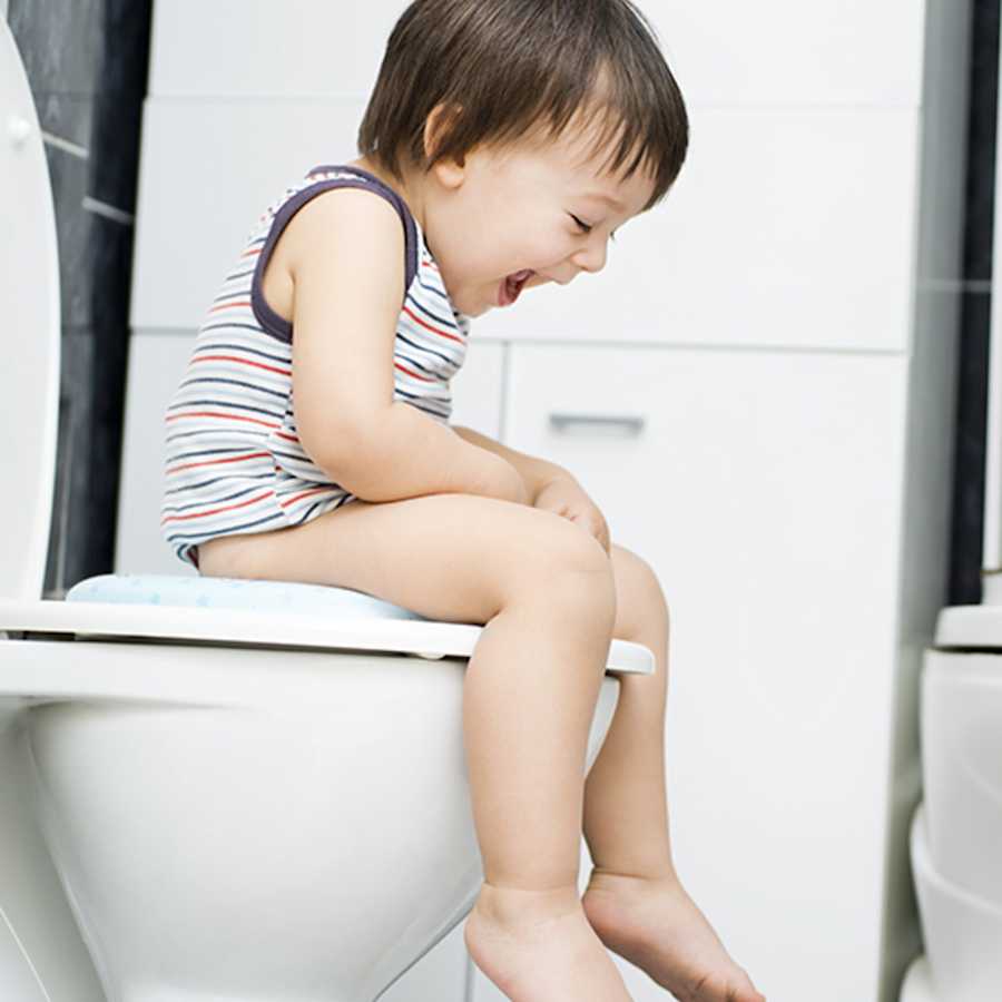 Little Boy Potty Training little-boy-potty-training