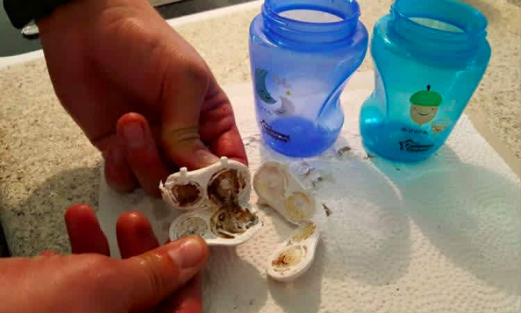 Moldy sippy cups outrage parents