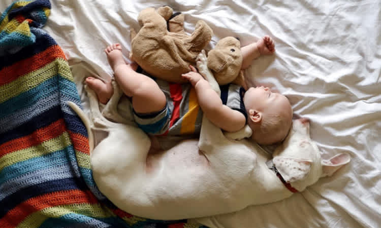 We Re In Love With This Unlikely Cuddling Duo Mom Com We Re In Love With This Unlikely Cuddling Duo Mom Com