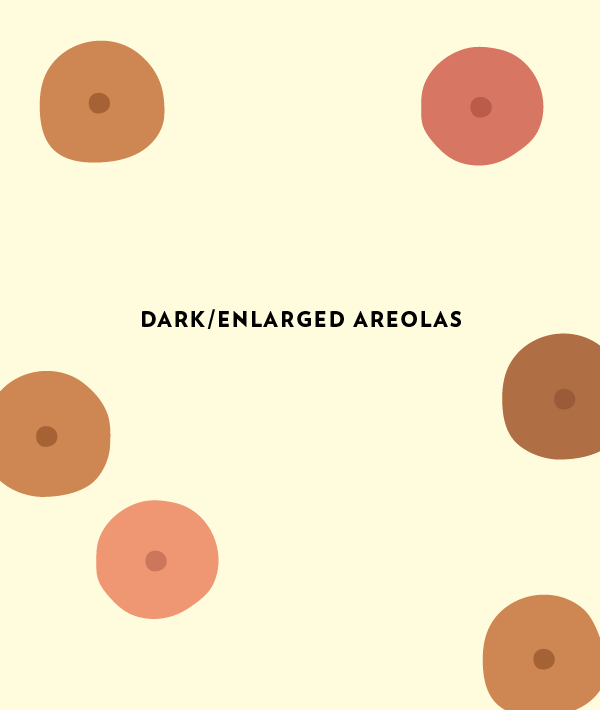 areolas during pregnancy areolas during pregnancy