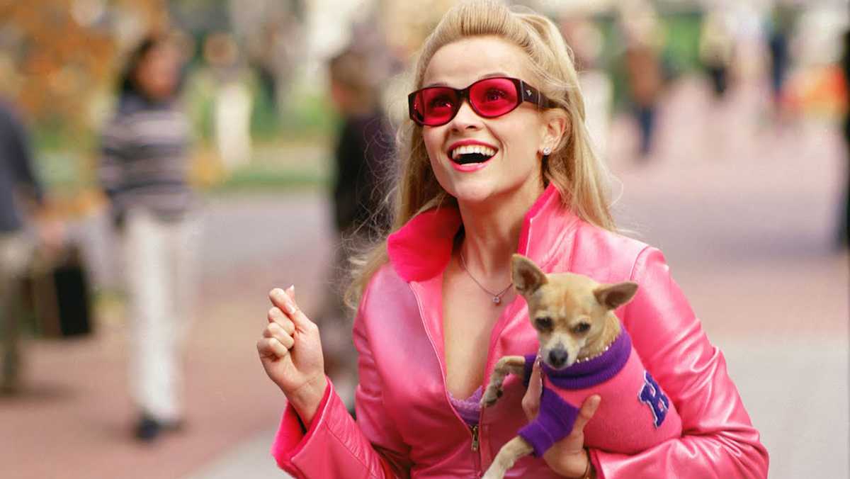 13 Smartest Female Characters From Movies Tv And Books Mom Com 13 Smartest Female Characters From Movies Tv And Books Mom Com