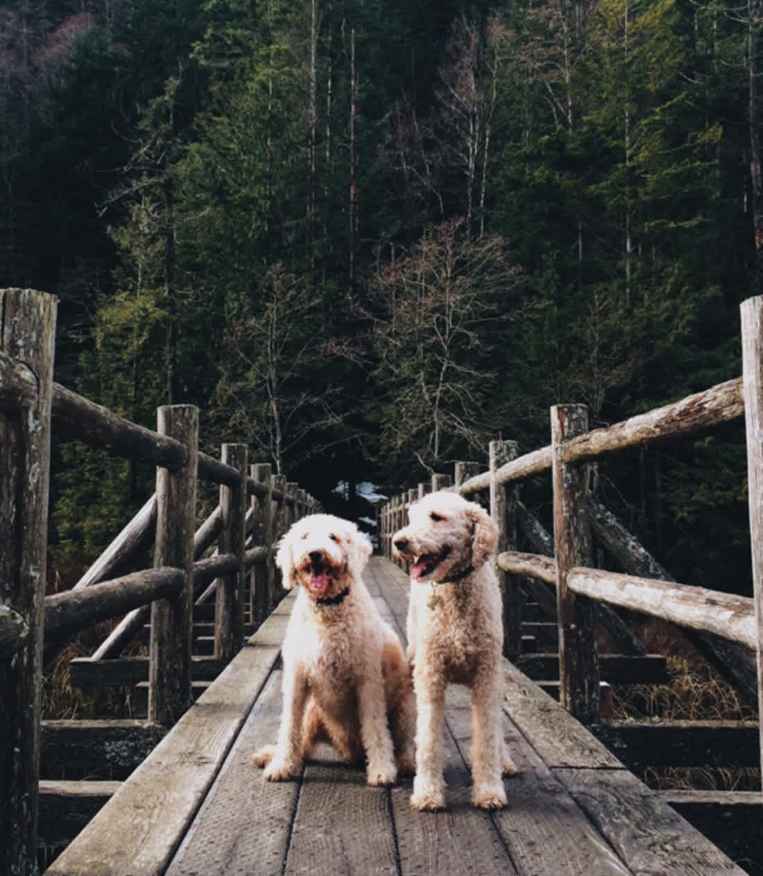 22 Animals That Are Good For The Earth Mom Com