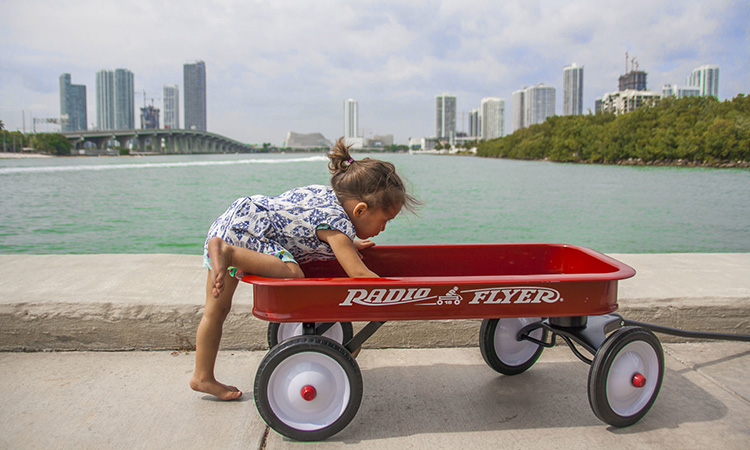 pull along wagon big w