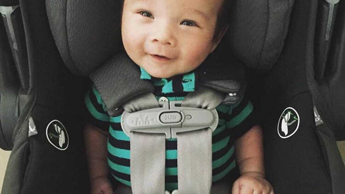 Aap Announces New Car Seat Guidelines