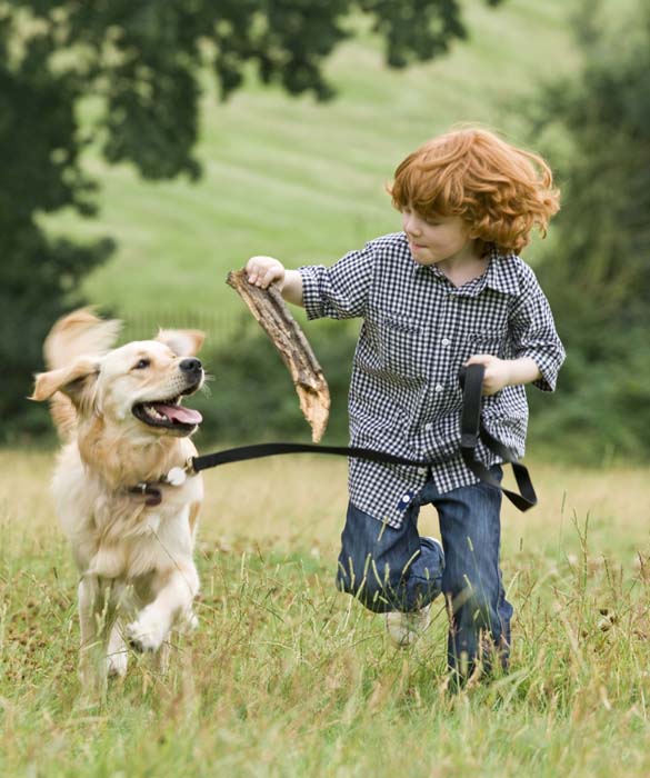 top friendly dogs