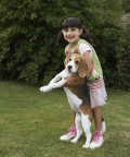 top-10-family-friendly-dogs8c - Girl (3-5 years) on lawn lifting beagle's front legs, smiling, portrait