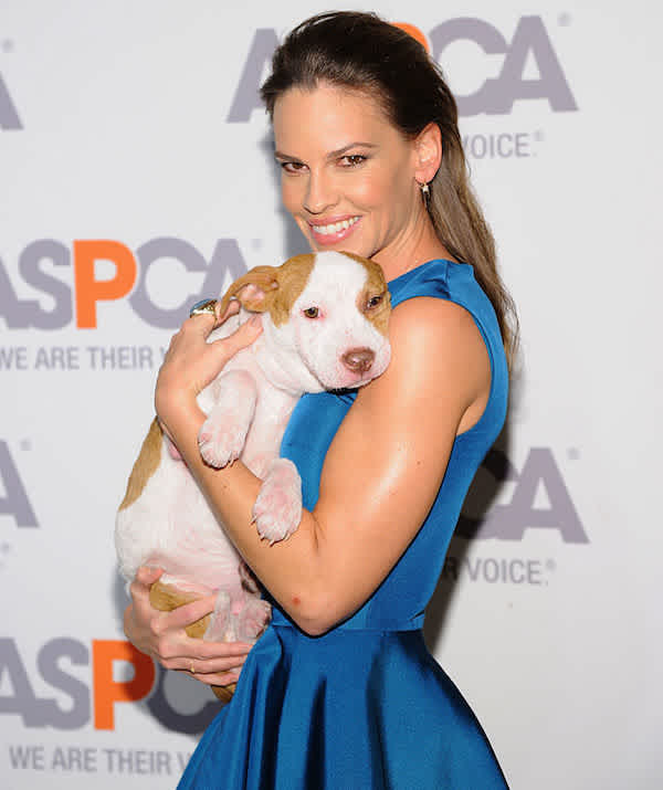 Celebrities Who Are Also Major Dog Lovers Mom Com Celebrities Who Are Also Major Dog Lovers Mom Com