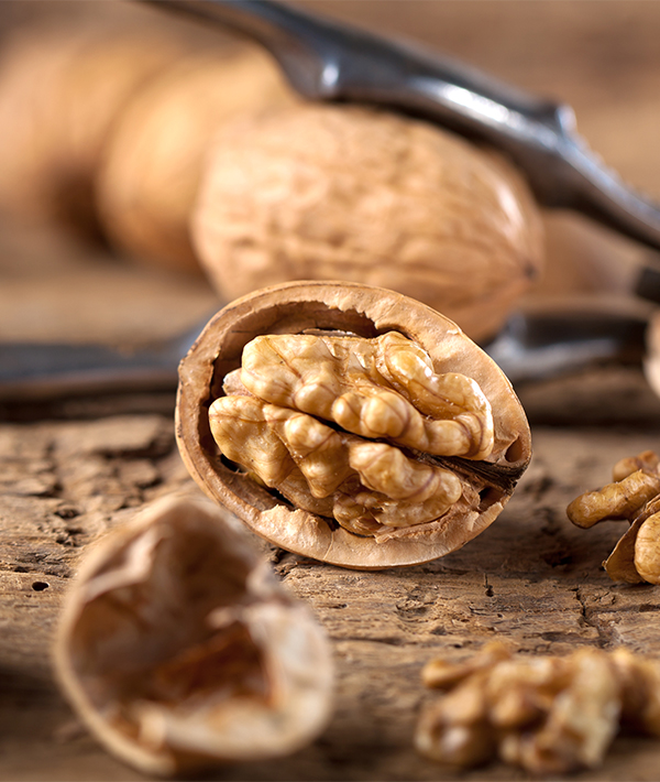 Nuts That Are Unsafe For Dogs To Eat