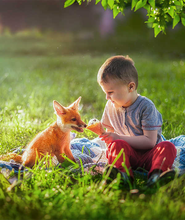 9 Wild Animals That Are Becoming Domesticated Pets Mom Com