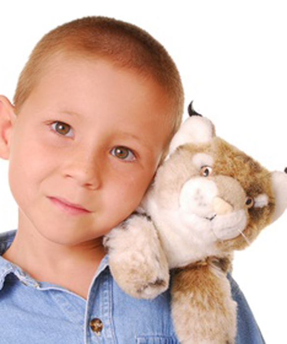 plush cuddly toys