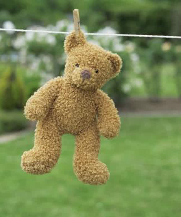 What you need to know about how to wash stuffed animals - Reviewed