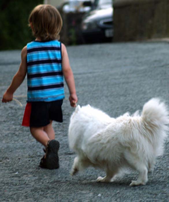 best pets for toddlers