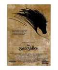 kid movies the black stallion