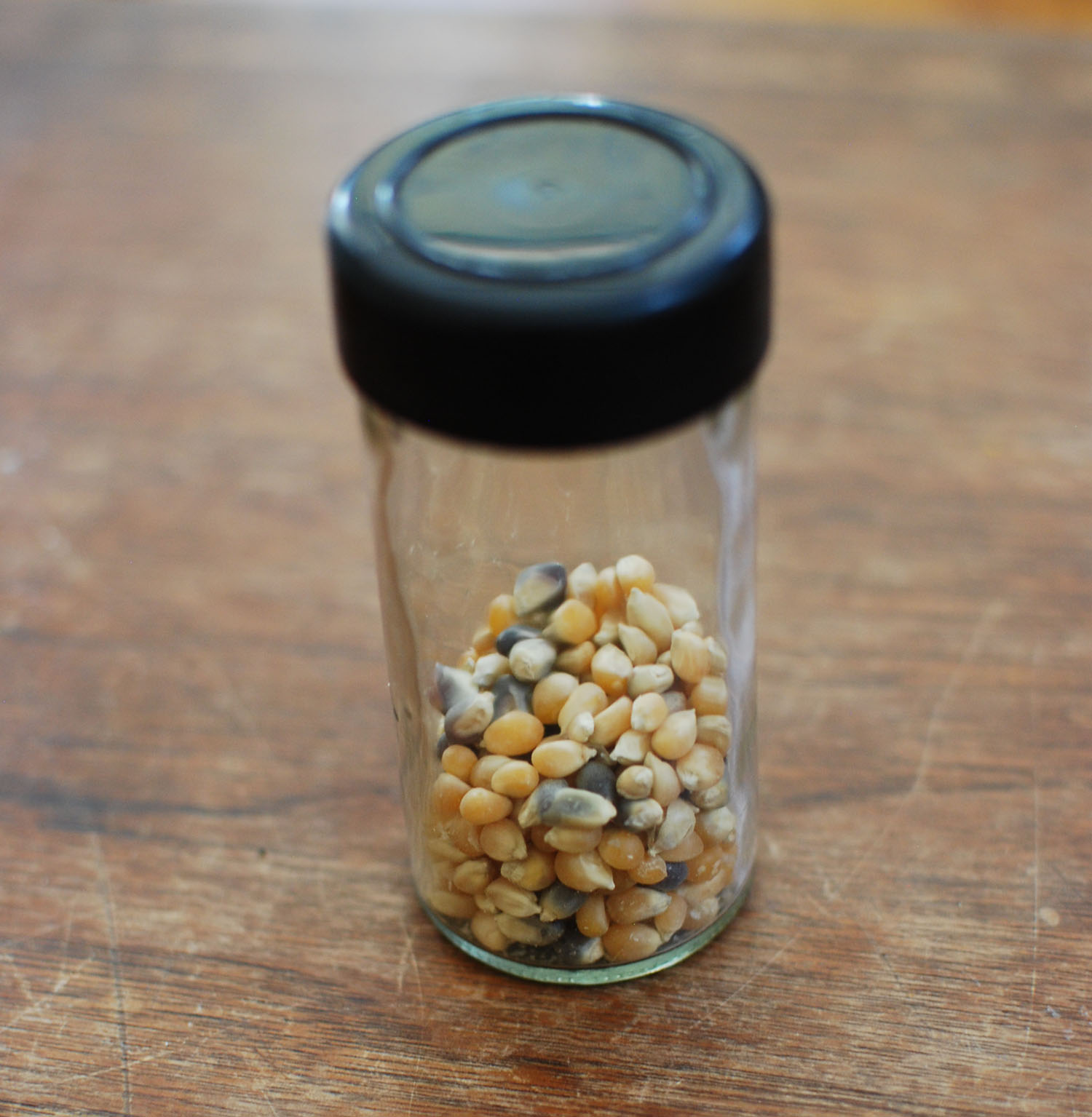 Toddler Talk Homemade Instruments