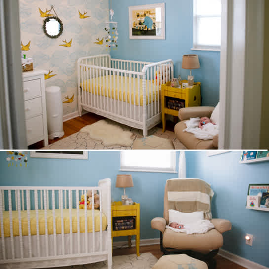 bird-wallpaper bird-wallpaper