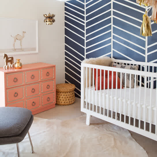 navy-coral navy-coral