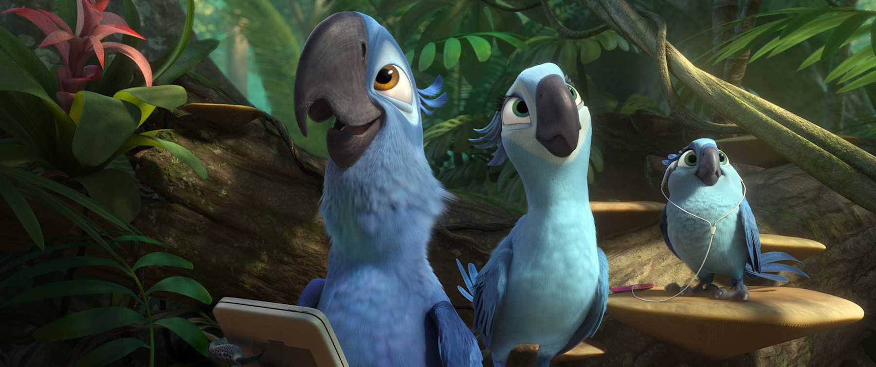 Rio 2 Exploring Returning Home To Connect With Your Family S Roots Mom Com Rio 2 Exploring Returning Home To Connect With Your Family S Roots Mom Com