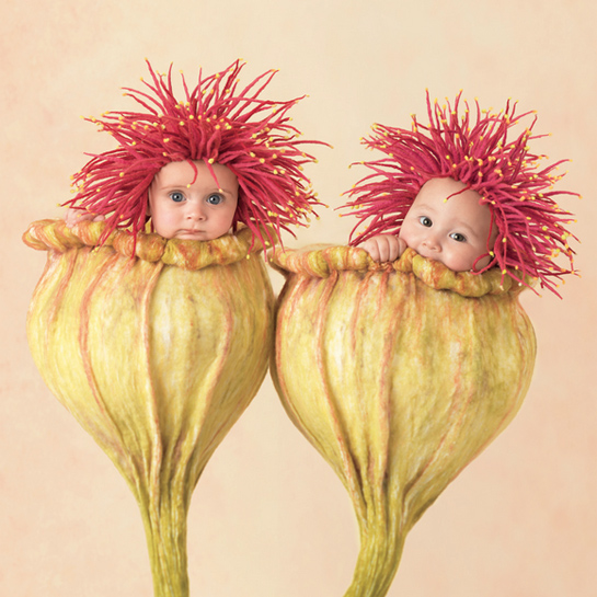 anne geddes this little baby