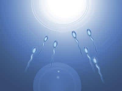 Fertility After a Failed IVF | Mom.com Fertility After a Failed IVF | Mom.com