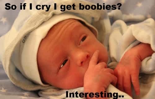 Not Funny Stop It Now Or No Overtime Crying Babies Meme