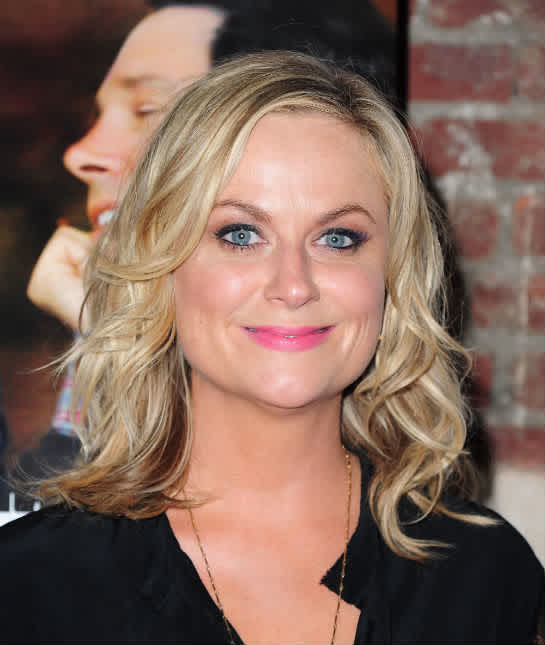 Sexy amy poehler