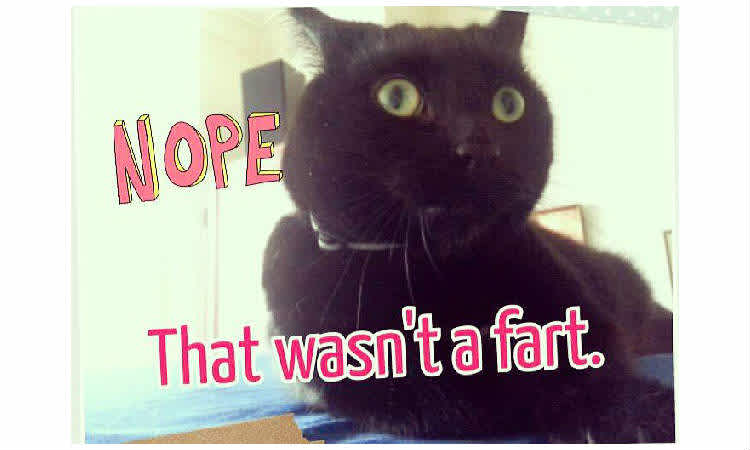 5 Ways To Pass Off Your Pregnancy Gas As Someone Else S Mom Com