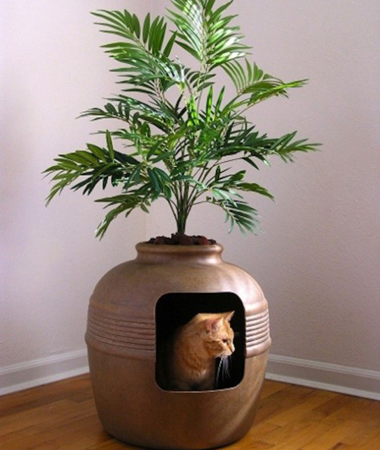 palm tree cat litter box