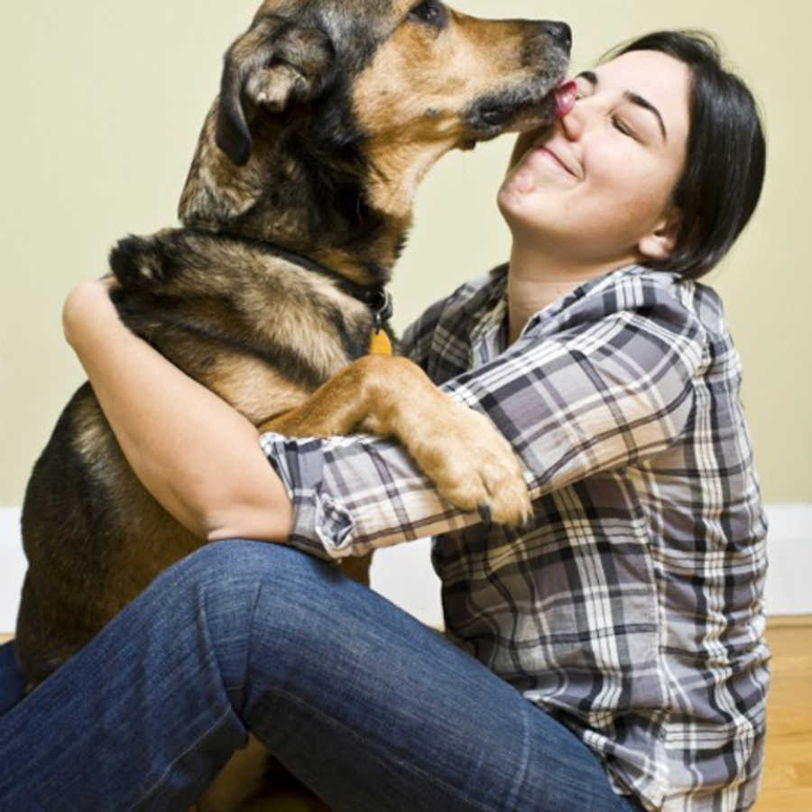 Is Licking A Sign Of Labor In Dogs is-licking-a-sign-of-labor-in-dogs