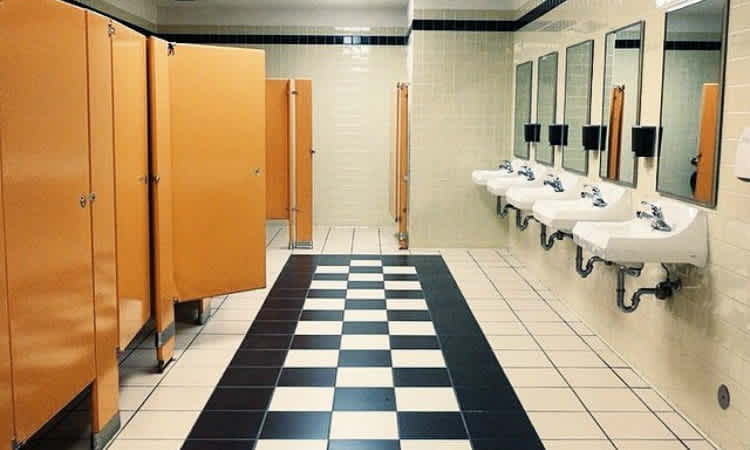 Where Did Our Public Toilets Go?