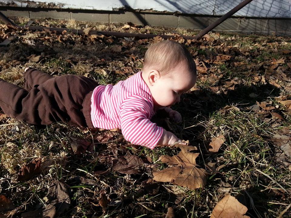 Let Your Baby Eat Dirt