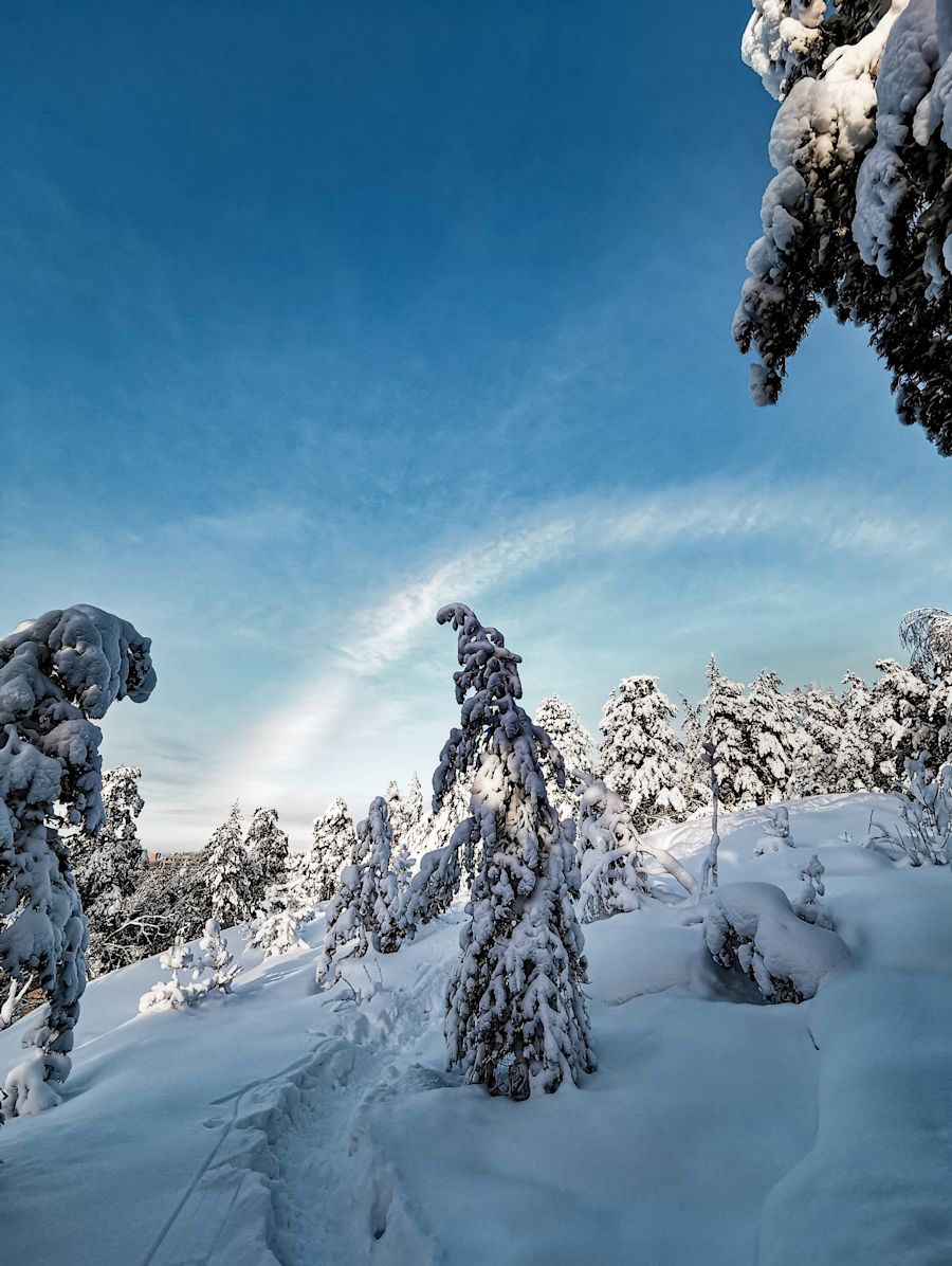 Luminen talvimaisema, jonka päällä näkyy sateenkaaren muotoinen pilvi
