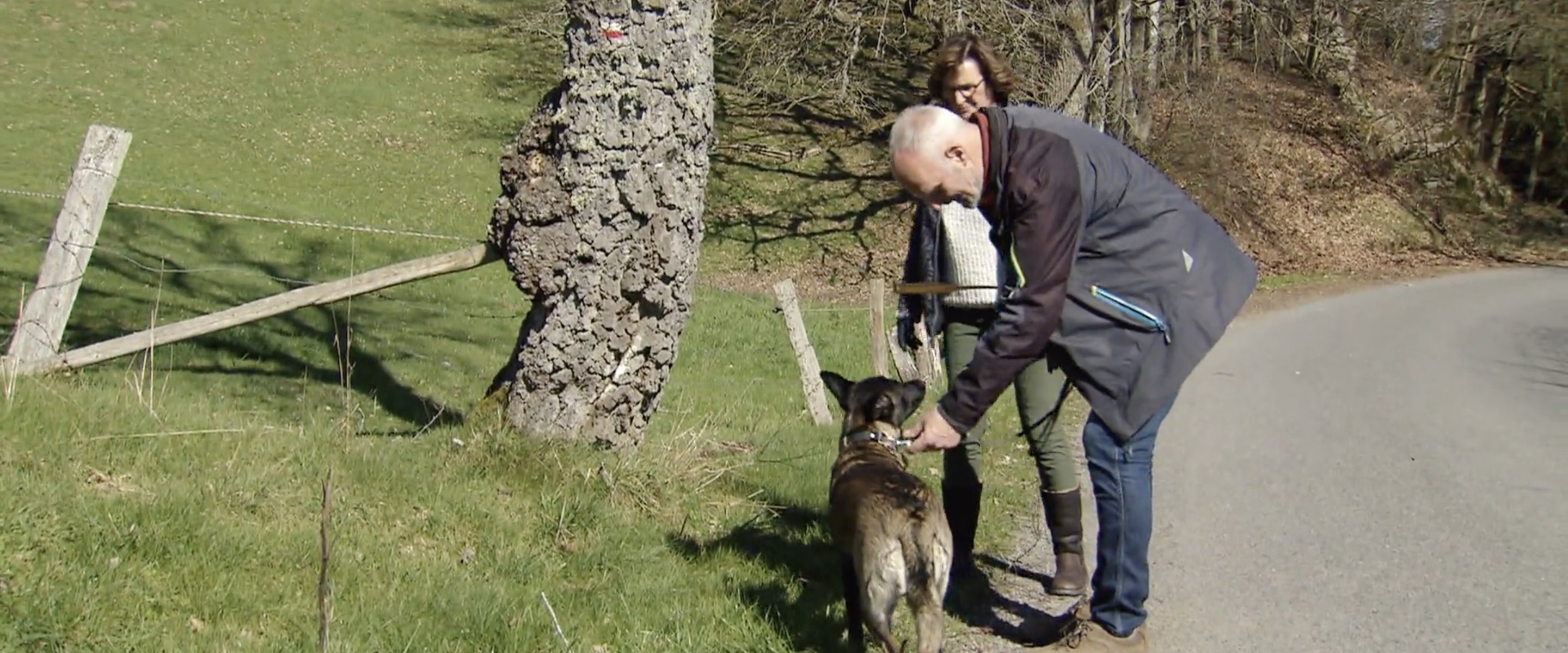 &C kijkt B&B Vol Liefde: het is duidelijk dogs before hoes bij Leendert