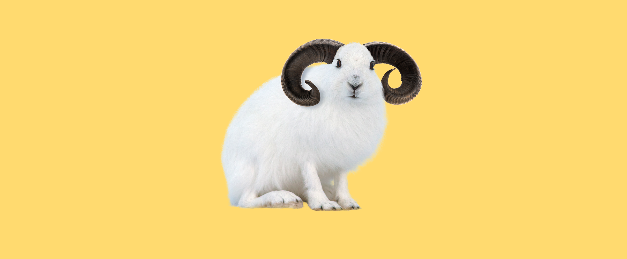 Winterhoroscoop - Ram - Header