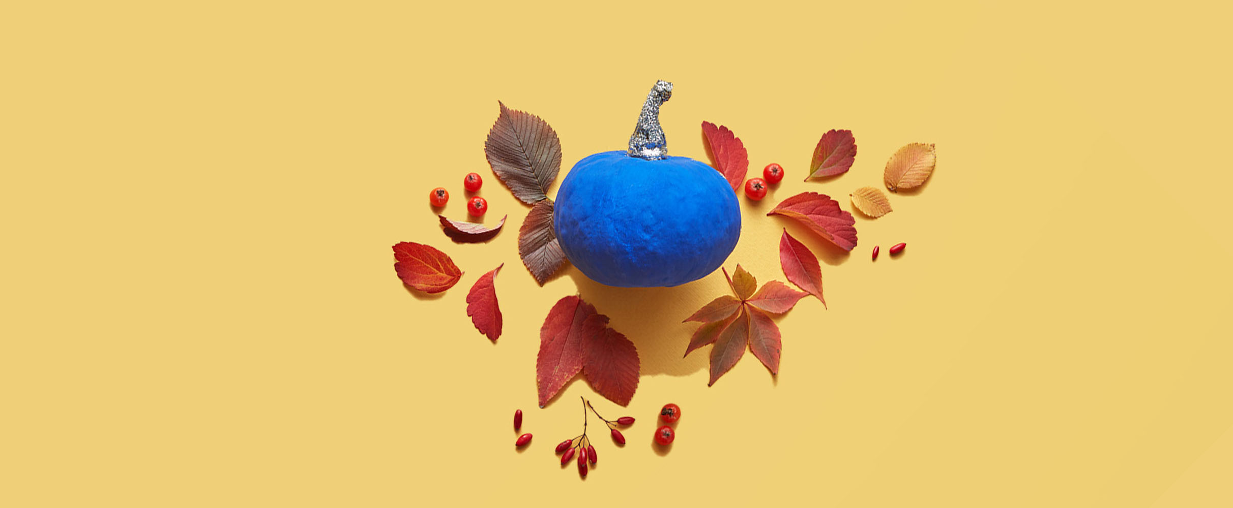 Hi ha herfst: herfstknutsels om te maken met je koter