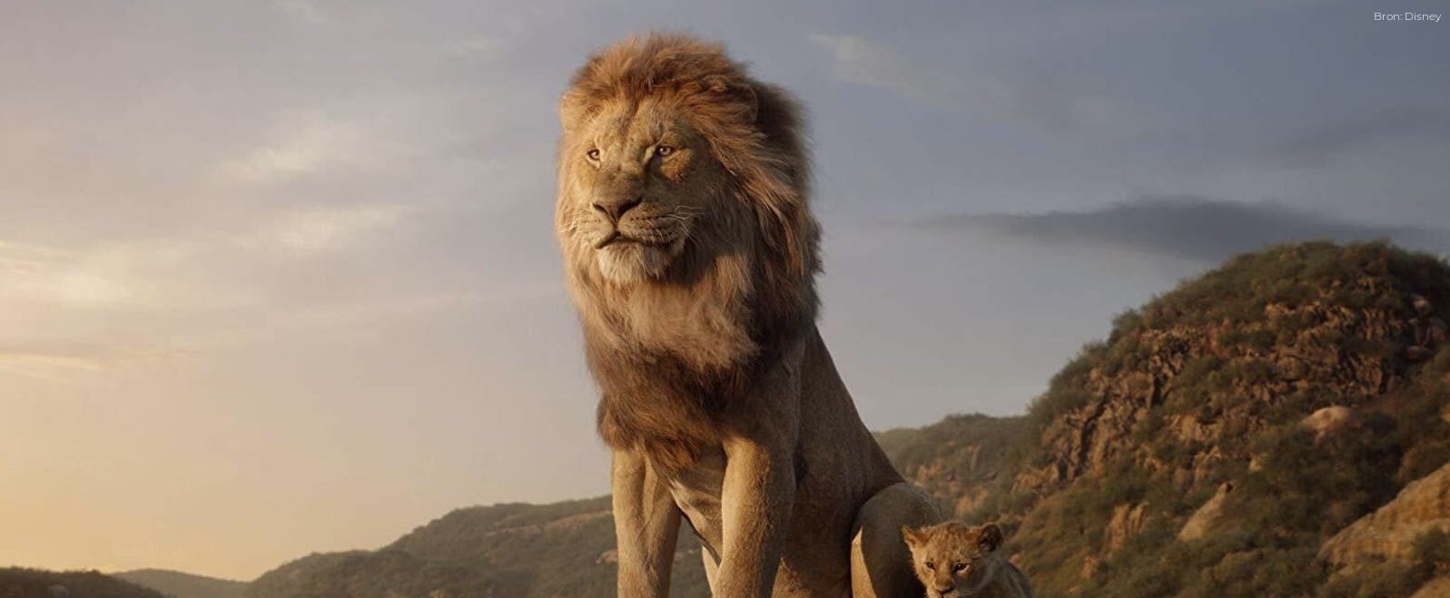 Mufasa: The Lion King en vijf andere langverwachte sequels die dit jaar uitkomen 