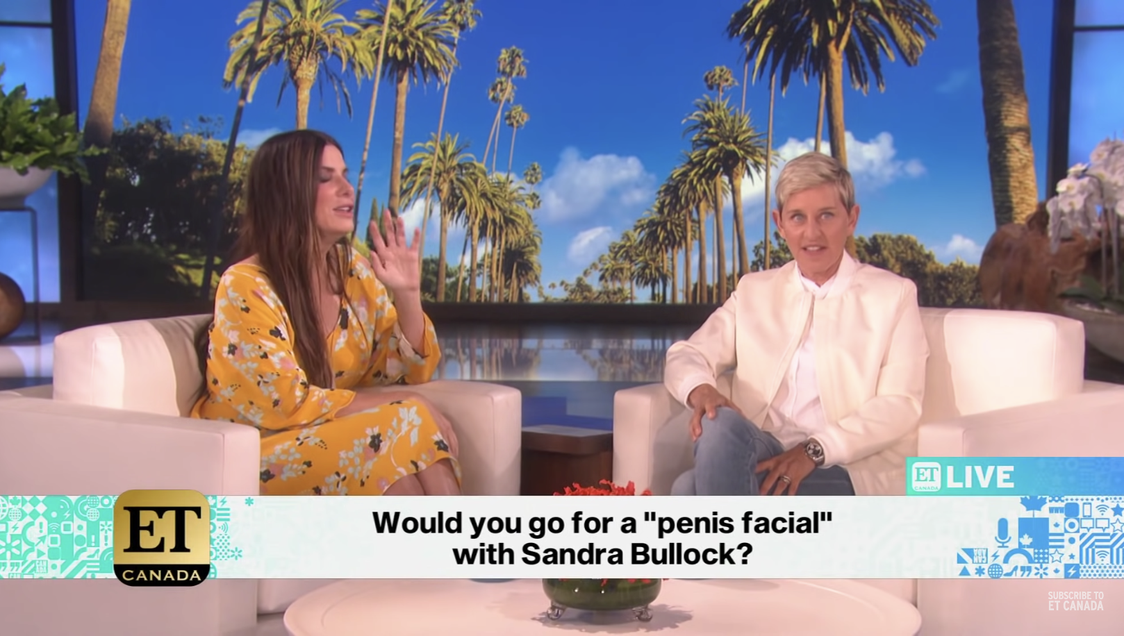 Sandra Bullock over haar 'penis facial'