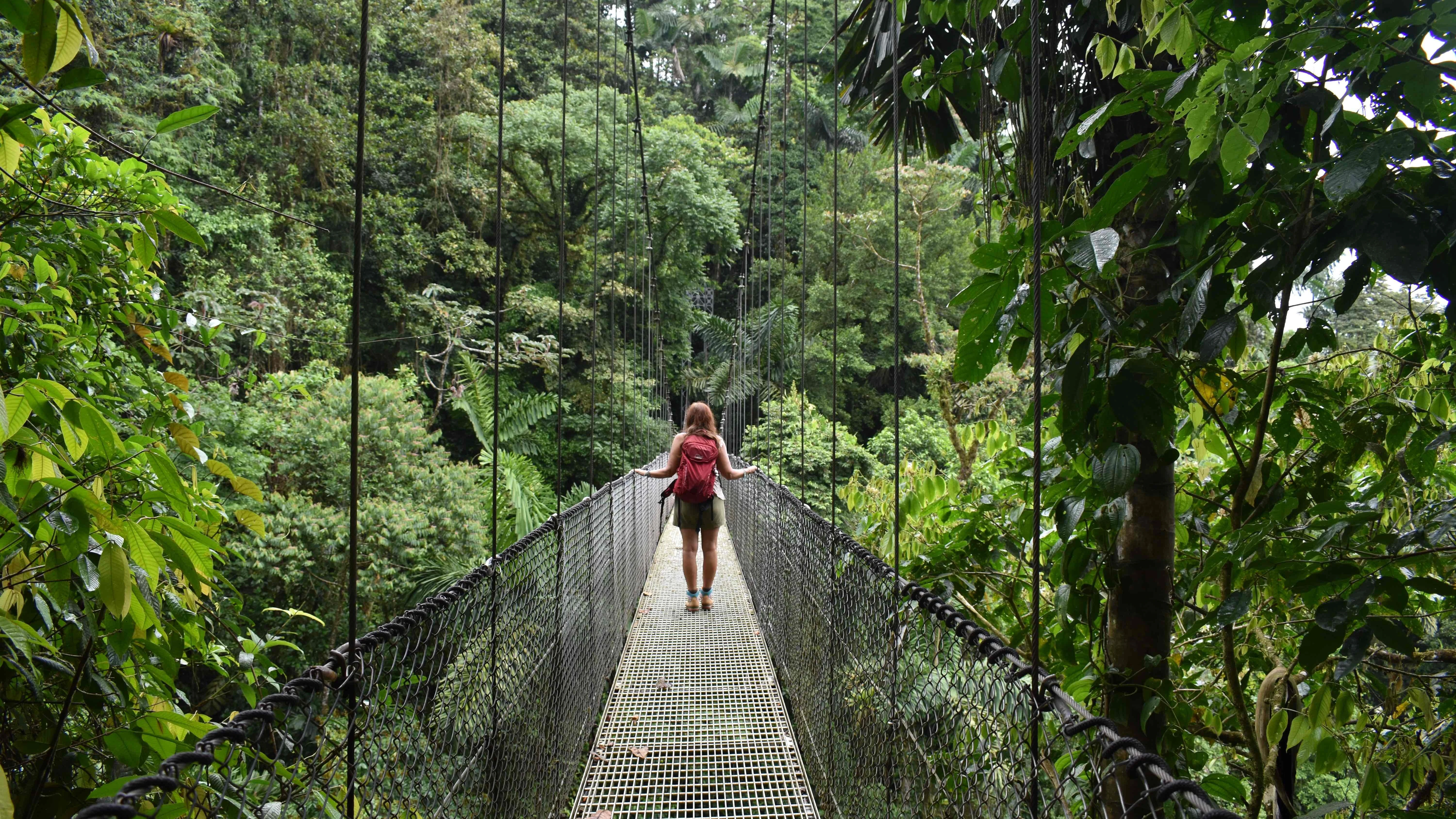 shutterstock 2101321744 - Costa Rica - loopbrug - vakantie