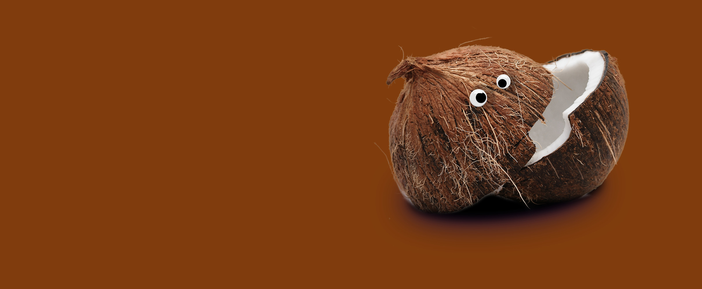 Ode aan de Bounty: dit is waarom we zo van het kokos-chocolaatje houden