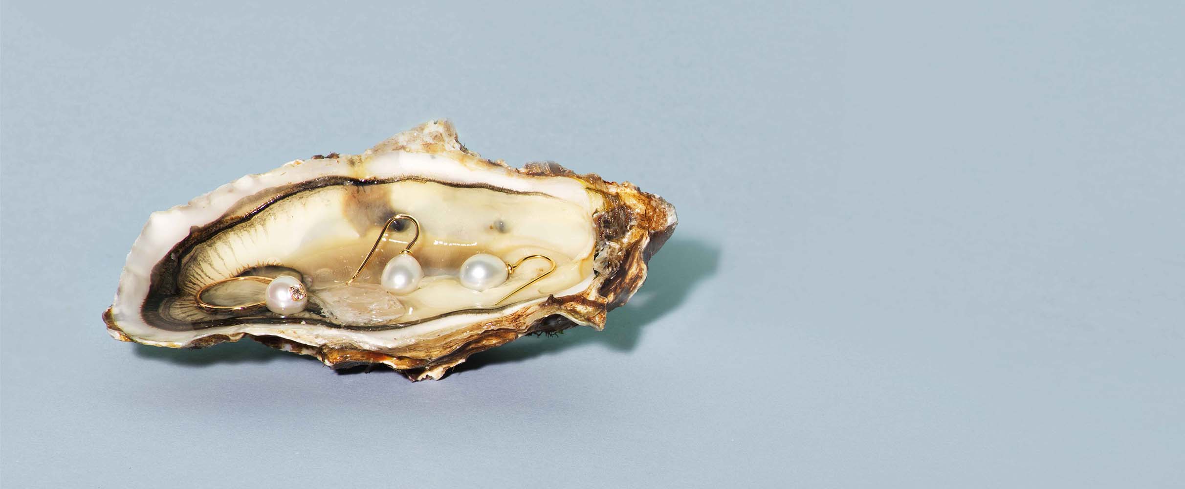 Koester de oester: de 8 leukste plekken om een oester te happen