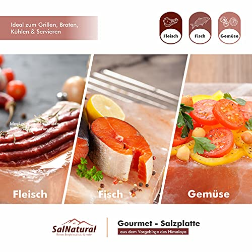 SalNatural Gourmet Salz Grillsteine 20x10x2,5cm (2er Pack) Original Kristallsalz aus dem Vorgebirge des Himalaya* Salzstein zum grillen. BBQ Grillplatte | Premium Geschenkbox - 2