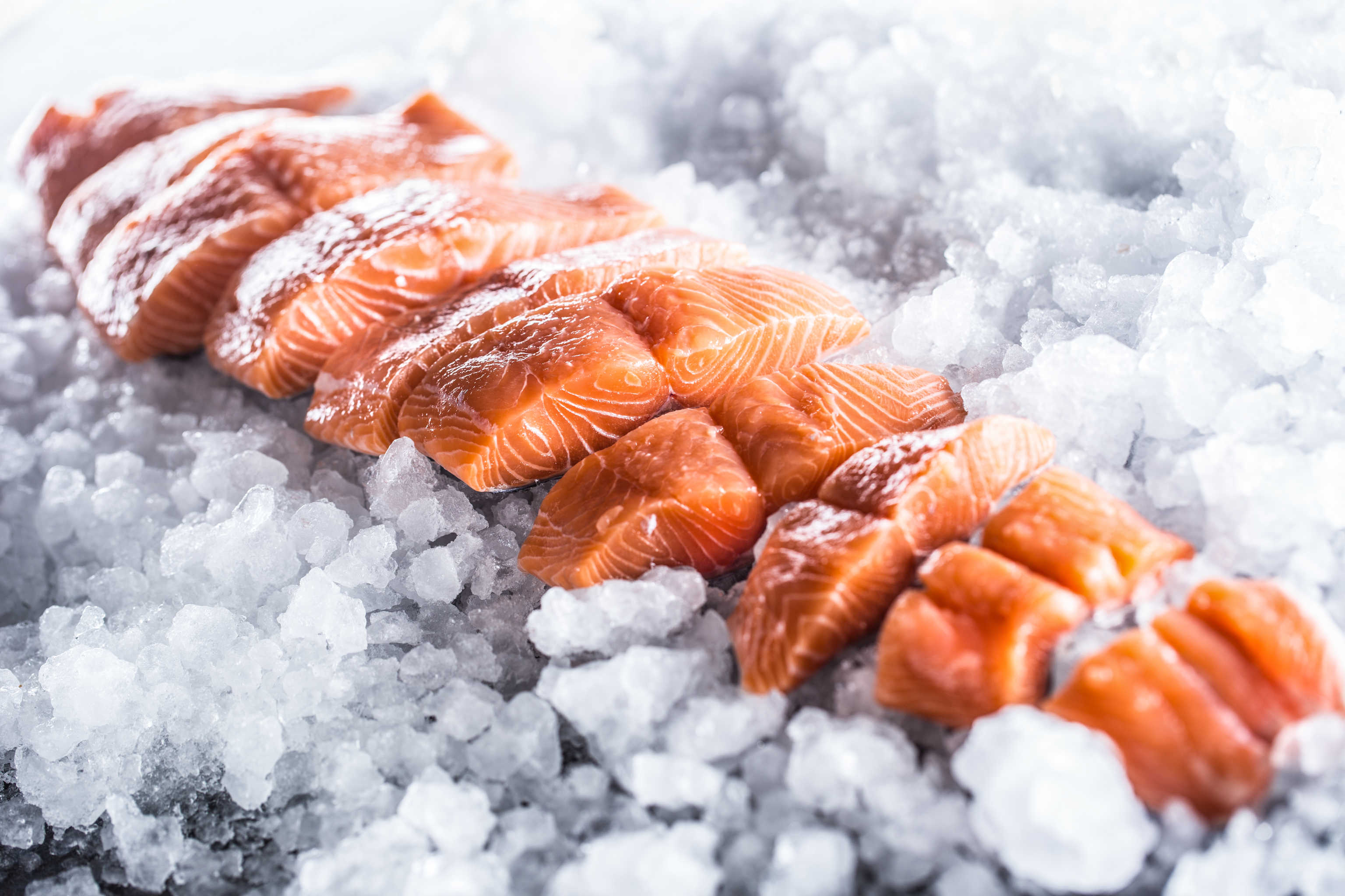 Wie lange kann man Fisch einfrieren? Wir verraten es dir!